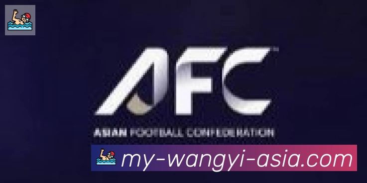 网易体育合作伙伴